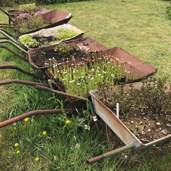 Allotment 563 Allotment 563